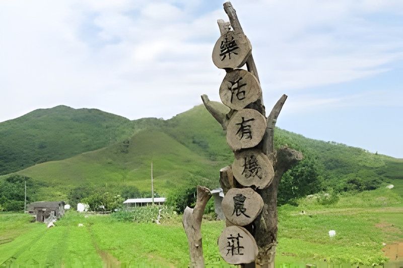 農田航拍 Aerial view of farmland